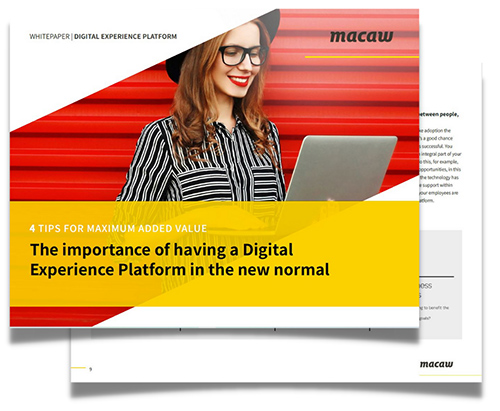 digital experience platform whitepaper